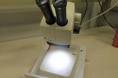 Leica EZ4 Stereo Zoom Microscope w Built-In Light Source, 8-35X Adjustable Zoom