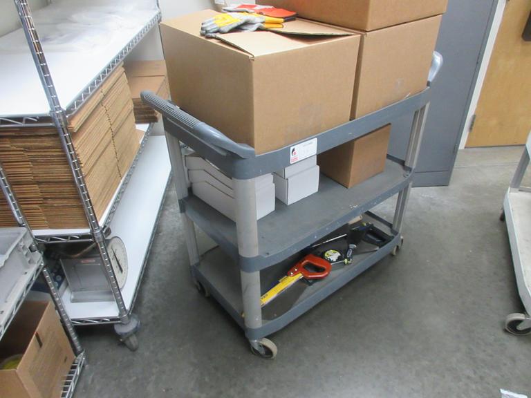 (2) Plastic 3 Tier Carts