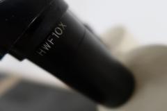 Unitron Stereo Microscope with 20x Total Magnification