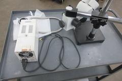 AmScope Stereo 10X/20 Microscope with Haloid Light Source Adjustable Swing Arm 4x Optical Zoom