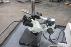 AmScope Stereo 10X/20 Microscope with Haloid Light Source Adjustable Swing Arm 4x Optical Zoom