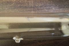 Olite AL53 Printing Light with Olec Lamphead Model LT1 High, Low, Medium Intesity on Portable Stand