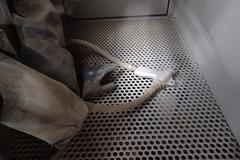 Blasting Cabinet with Dust Collector, 42" x 24" Inside, Side Doors, Gun and Gloves