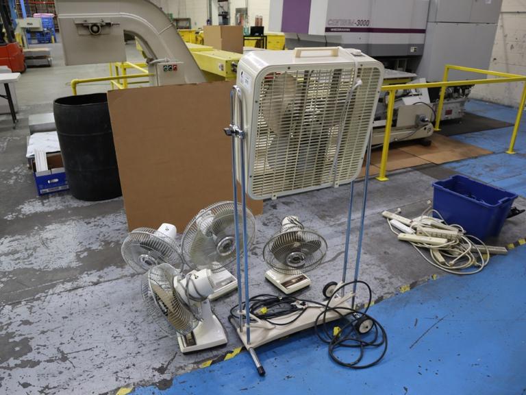 Fans Assorted (5pcs)