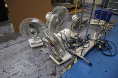 Fans Assorted (5pcs)
