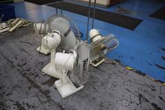 Fans Assorted (5pcs)