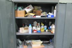 Berger 2-Door Cabinet with Contents