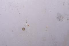 Osborn 7C Centerless Polishing Machine with Scotch Bright Wheel