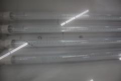 Explosion Proof Led Lights, Single Phase (8pcs) on Pallet. 48" x 16"