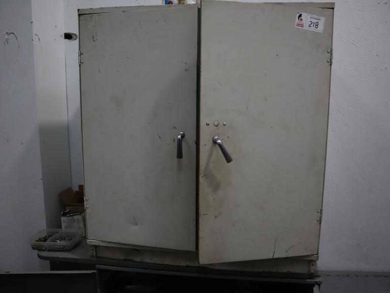 Metal Cabinet - 2 Door