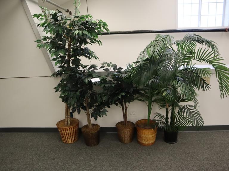Imitation Plants for Office