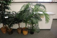 Imitation Plants for Office
