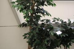 Imitation Plants for Office