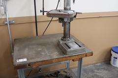 Continental 14" Drill Press on Work Bench, 12 Speed, Single Phase, 1/2 HP