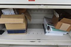 Lateral Files w Contents (2)