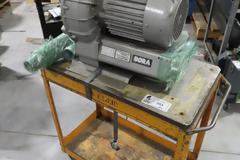 Rietschle Thomas Bora SAP 300 (01) Vacuum Pump and (2) Shelf Cart