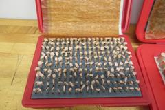 Changda .061 - .250" & .251 - .500" Minus Pin Gage Sets, ***New In Plastic Divider Cases***