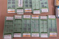 Ingersoll, Walter, Sandvik Carbide Insert Turning and Milling Mega Lot!!!  ***New In Packages***