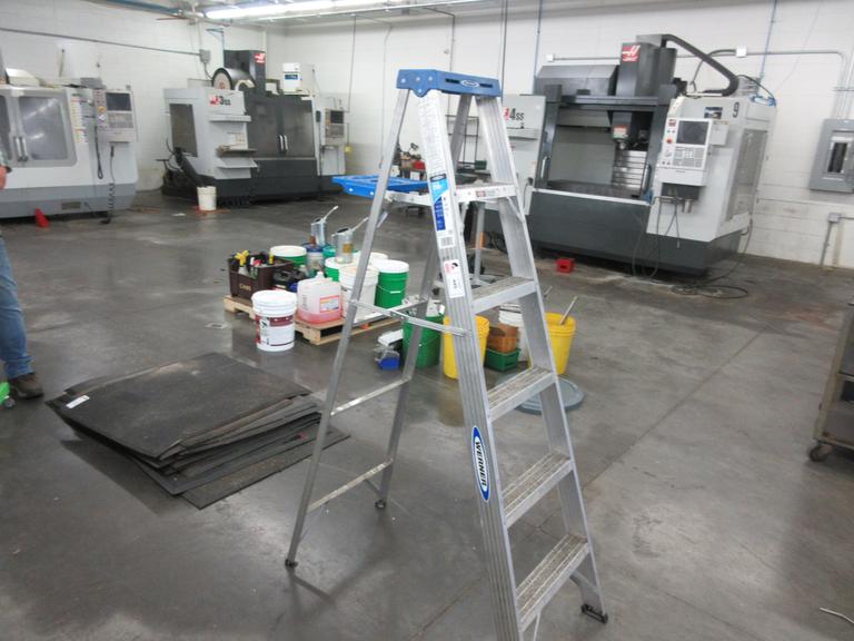 Werner 6" Aluminum Step Ladder, 250 lb Capacity