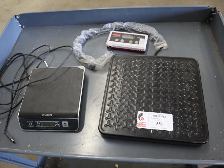 Electronic Scales: Rubbermaid 150Lb Battery Powered Scale and Dymo M10 10 Lb (2g Resolution) Scale
