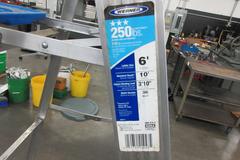 Werner 6" Aluminum Step Ladder, 250 lb Capacity