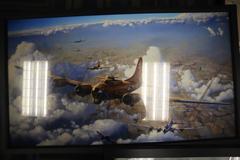 World War II Historical Art (4)