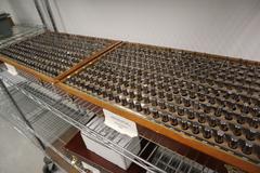 Gage Pin Sets (2), (1) Set .250" - .500" in .001" Increments, (1) Set .2515" - .5005" in .001" Increments