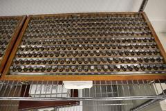 Gage Pin Sets (2), (1) Set .250" - .500" in .001" Increments, (1) Set .2515" - .5005" in .001" Increments
